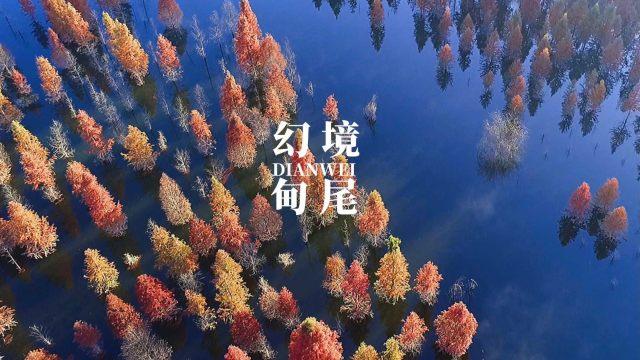 狂打小飞机