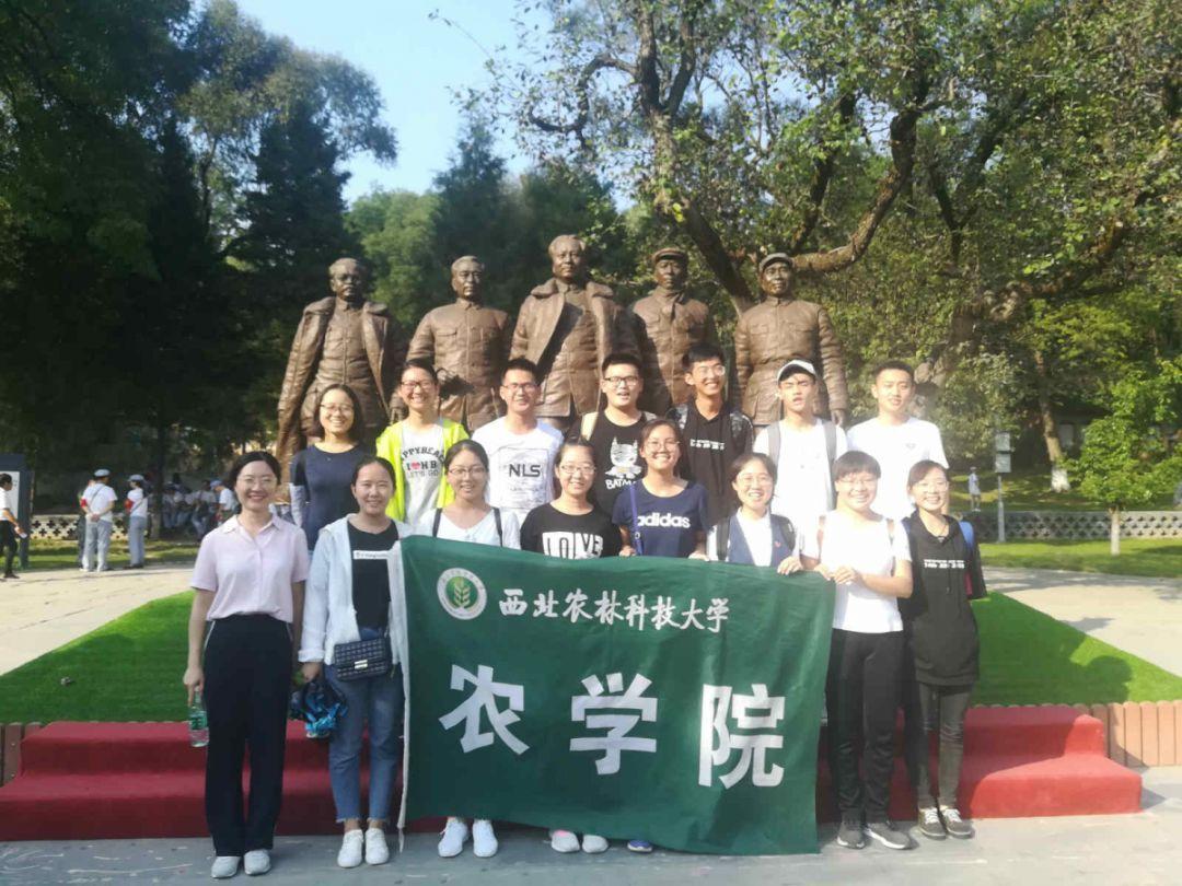 不会Excel可以做会计吗-专业问答交流平台